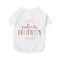 Craft Express 2 Pack of Medium White Sublimation Pet T-Shirts